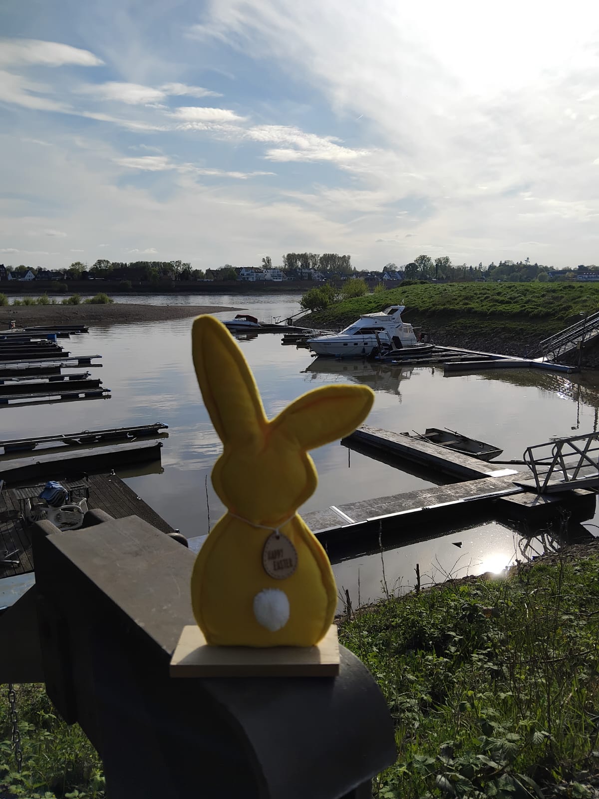 Osterhase